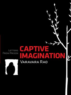 cover image of Captive Imagination